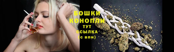 мескалин Богданович