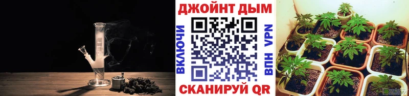 цена   Беломорск  Конопля индика 